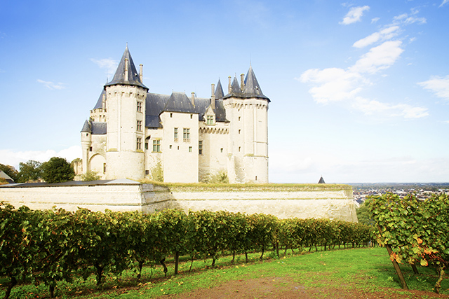 Chateau Saumur and vineyards in the Loire Valley, France. Photo: Neirfy.