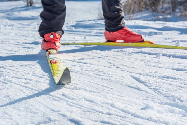 Cross country skiing. Close up of shoes and skiis.