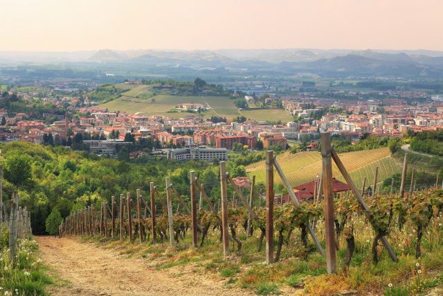 Overlooking Alba, Piemont, Italy